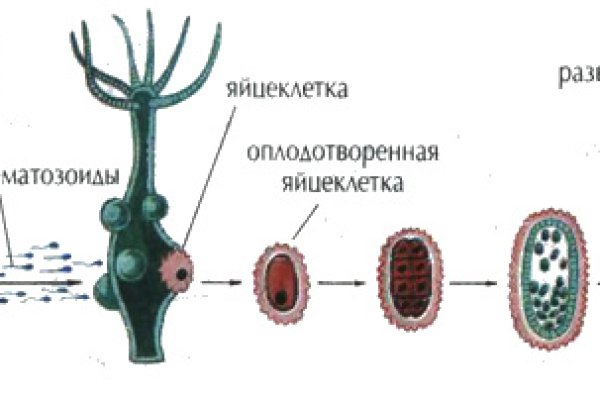 Кракен запрещенные вещества