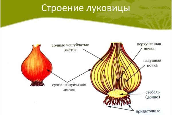 Кракен онион ссылка на тор