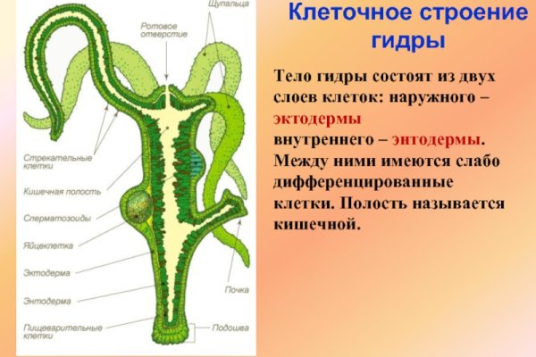 Кракен 17 вход