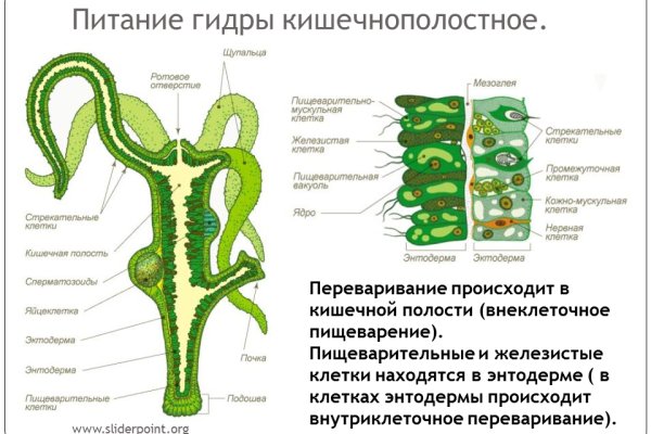 Кракен ссылка 2 веб